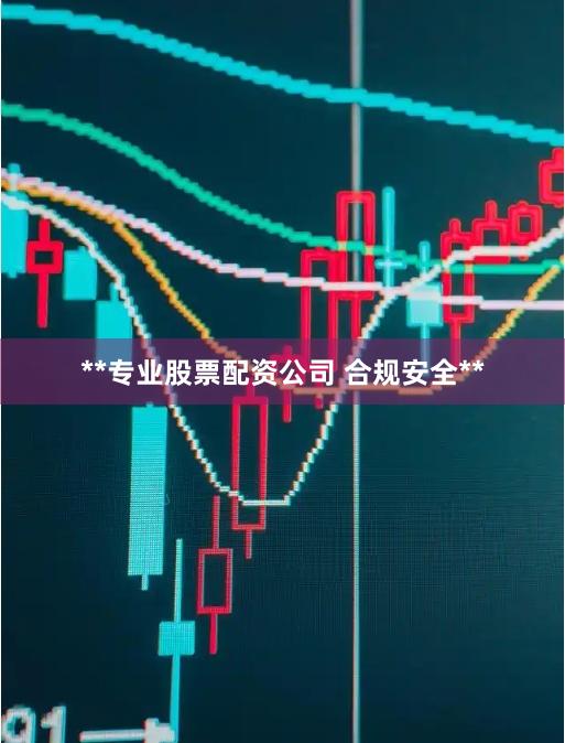 **专业股票配资公司 合规安全**